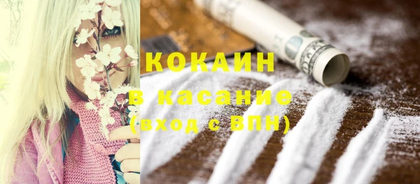 тгк Богданович